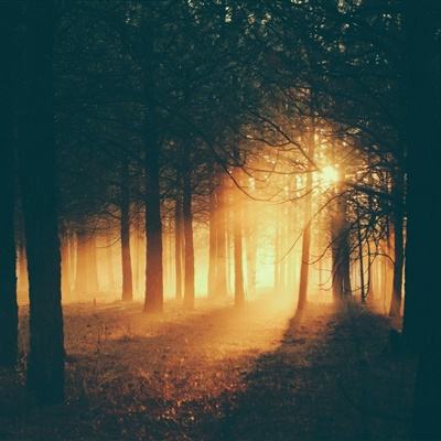 必一体育app官方网站