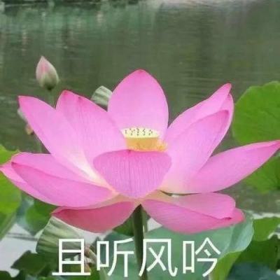 ku娱乐官网登录手机app下载